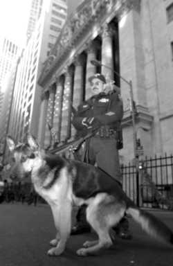 police-2003-12-29_z