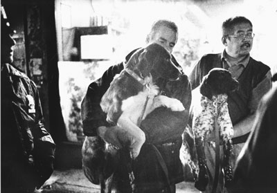 dog-2004-03-25_z