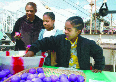eggs-2004-04-22_z