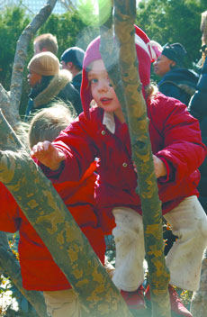 kids-2004-04-01_z