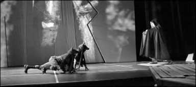 The A-list 4 tribu-2009-05-18_z