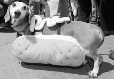 Scene 1 ziti-2009-05-11_z