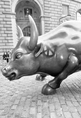 bull-2010-05-31_z