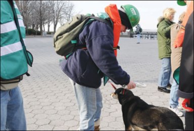 dogies-2011-03-22_z