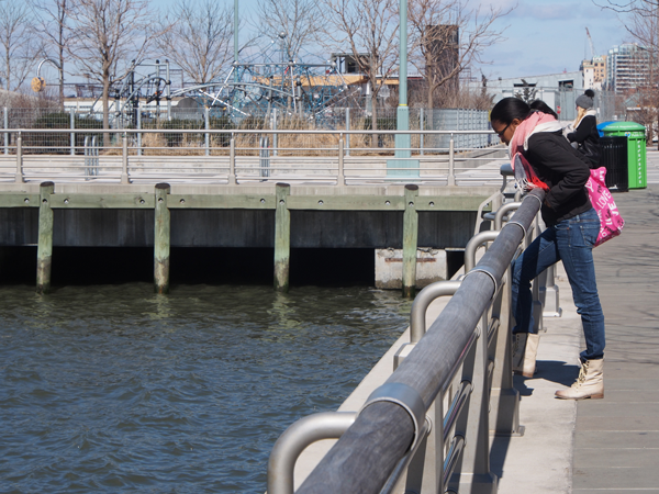 A better park or an unfair tax? Debating the NID 1 Downtown Express photo by Milo Hess Tribeca section of the Hudson River Park.