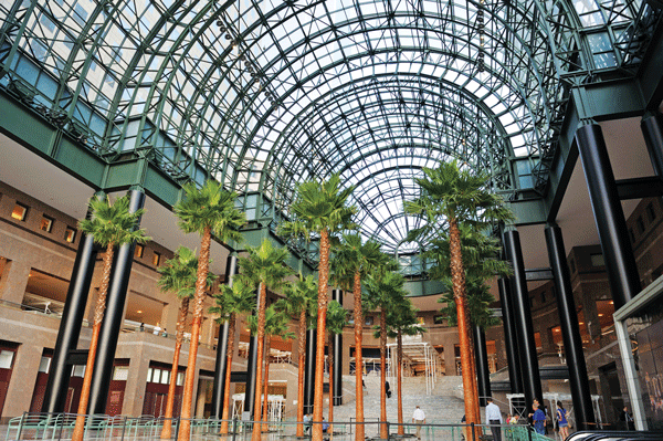 Downtown Express photos by Terese Loeb Kreuzer Sixteen new palm trees have now been installed in the Winter Garden at Brookfield Place. They look a little puny compared with their predecessors, but the old trees had gotten too tall for the space.