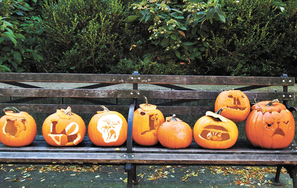 Hit the Road Jack: Pumpkin Composting 2 Photo by Dottie Francoeur Jack (second from right) on a park bench, with friends, waiting to become compost.