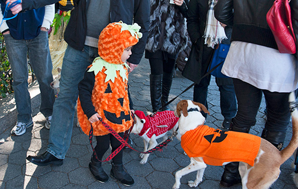 Halloween for dogs 4 The 12th annual Halloween puppy parade on the Battery Park City esplanade took place on Oct. 26. It was co-hosted by the Battery Park City Dog Association and Bobby Concister of Le Pet Spa. Downt0wn Express photo Terese Loeb Kreuzer)