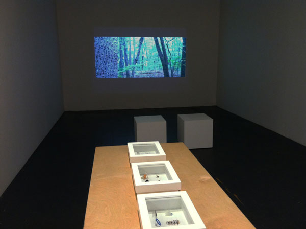 “Days Go By” (2012, Video, 5 minutes 19 seconds, Edition 5, Installation view)  ©2014 ROBERT HENRY CONTEMPORARY