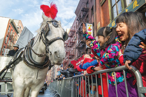 Whoa! Here comes the Horse 3 Photo by milo hess