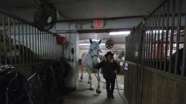 horse stables amNY CROPPED