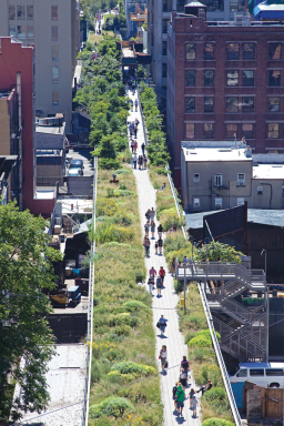 Abington-House-High-Line