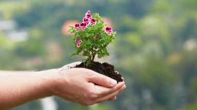 earth day istock