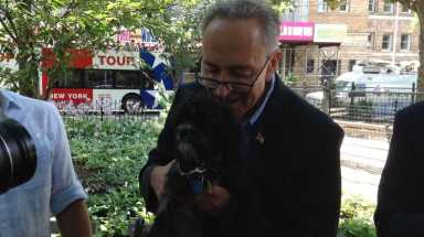schumer