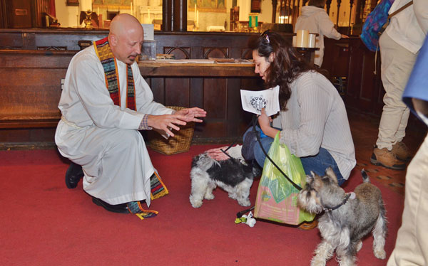 Community Activities, Week of Oct. 9, 2014 1 Photo by Chris Kreussling (Flatbush Gardener) Have your beloved beast blessed, at Chelsea Community Church’s Oct. 19 service.