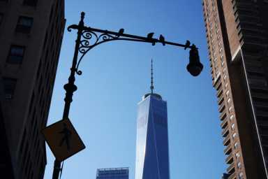 freedomtowerbirds