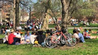 mccarren park amny