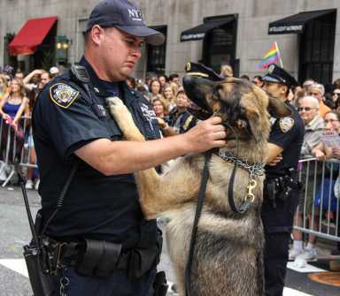 pride-cop-and-dog