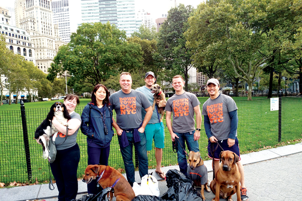 Battery Bark City vs. Fidi fidos! 1