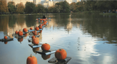 CENTRAL-PARK-pumpkin-flotilla-e1445541683880