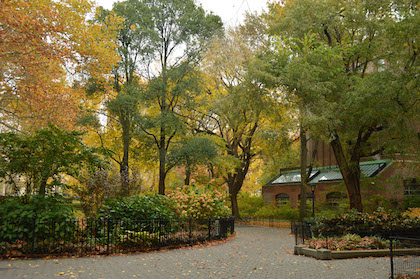 Boisterous Forum Shows Angry Opposition, But Some Support For Museum Expansion 2 Teddy Roosevelt Park, which surrounds the museum. | JACKSON CHEN
