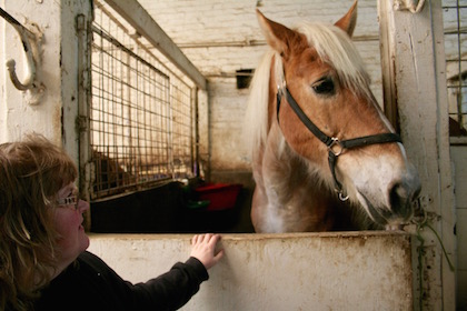 On West Side, Stables Are Reminders of Old Hell’s Kitchen 5 Anita Gerami, with one of the horses at the Chateau Stables. | YANNIC RACK