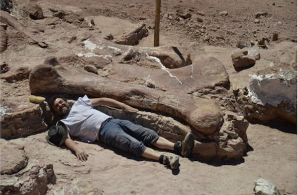 Cretaceous Park Titans 1 A member of the paleontologist team that unearthed the 122-foot titanosaur is dwarfed by one of the massive creature’s bones. | DR. ALEJANDRO OTERO/ COURTESY: AMNH.ORG