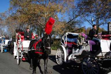 RACK-carriage-hearing-inside-IS