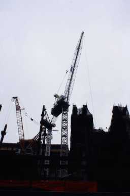 CHEN-multiple-cranes