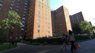 AMNWSTUY0302_WEB