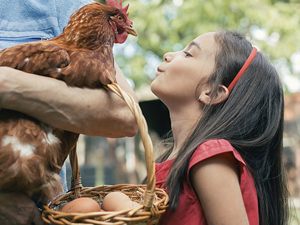 Seaport Report: September 2016 5 Fresh Kids Kids can get up close and personal with farm animals that the Farm Fresh Festival for Kids on Sept. 17 at the Seaport.