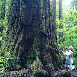 No stone tablets, just tree trunks: Reverend Billy compels us to bend to our better nature; or, barring that, just nature.
