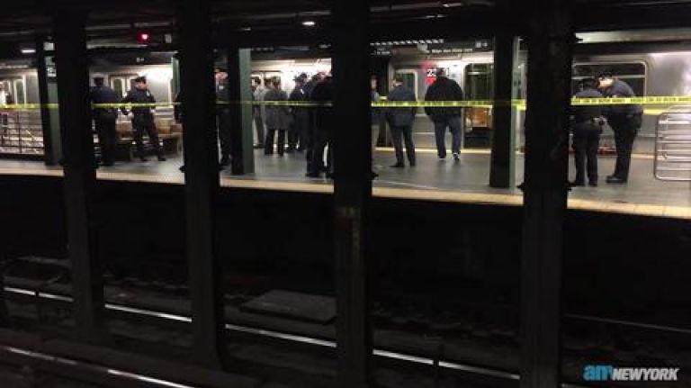 Woman dies after being pushed in front of train at Times Square station 1 Woman dies after being pushed in front of train at Times Square station