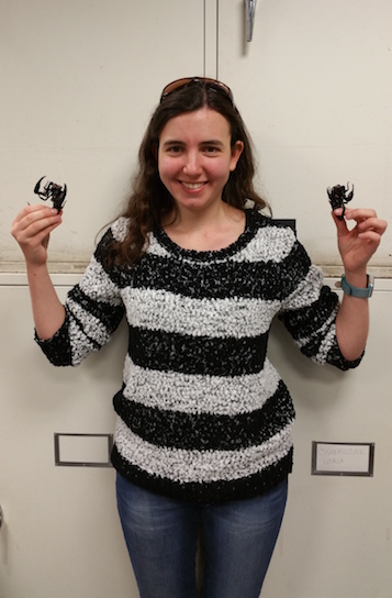 At Natural History Museum, the Scoop on Scorpions 2 Dr. Stephanie Loria shows us just how friendly scorpions can be.