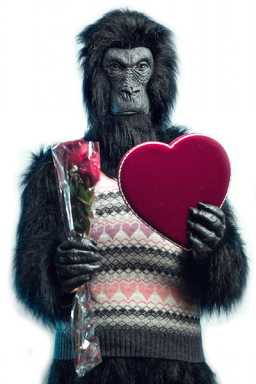GORILLA_WEB