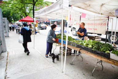 chen-water-main-grownyc