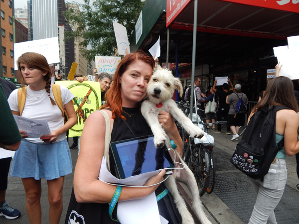 Exposé Puts Chelsea Kennel Club in the Doghouse; Owner Calls Investigation a ‘Hatchet Job’ 3