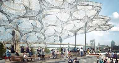 seaport-canopy-2017-08-10-pic1DEPRINT_WEBWEB