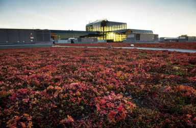 Sept7_Javits_Fall