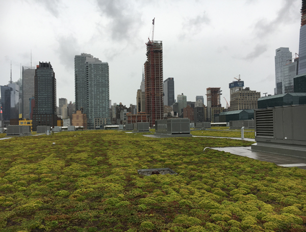 Atop Javits Center, The Habitat That Roof Built 3