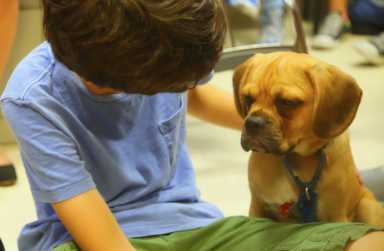 comfort-dogs-2017-10-05-pic1DEPRINT_WEBWEB