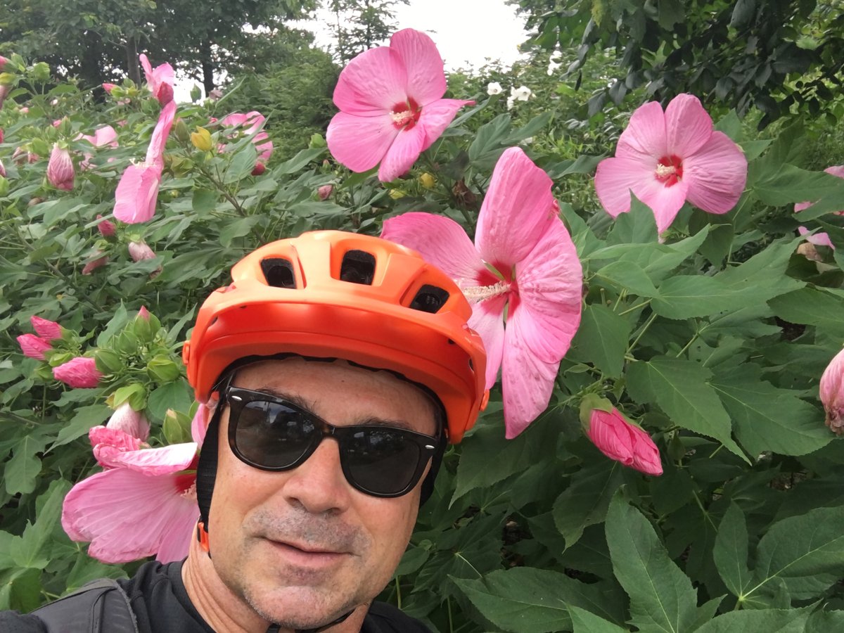 Risky ‘locomotion’: Deadly weeds line bike path 2