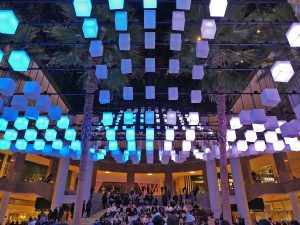 Winter Garden wonderland 4