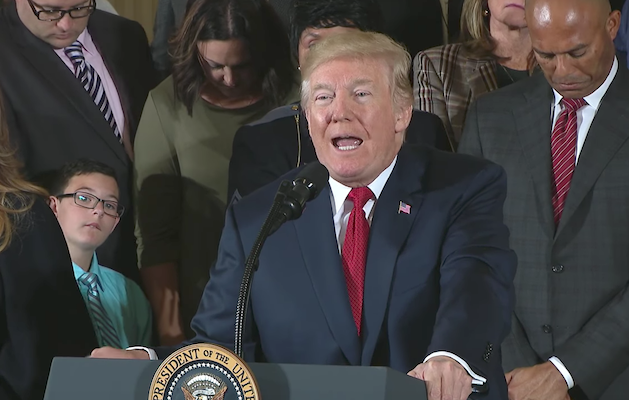 No New Money, No New Ideas in Trump’s Opioid Response 1