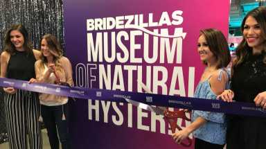 AMNWZILLA0223_WEB
