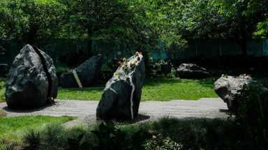 AMNWCUOM180625_WEB