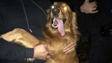 amnwSCOOB190128