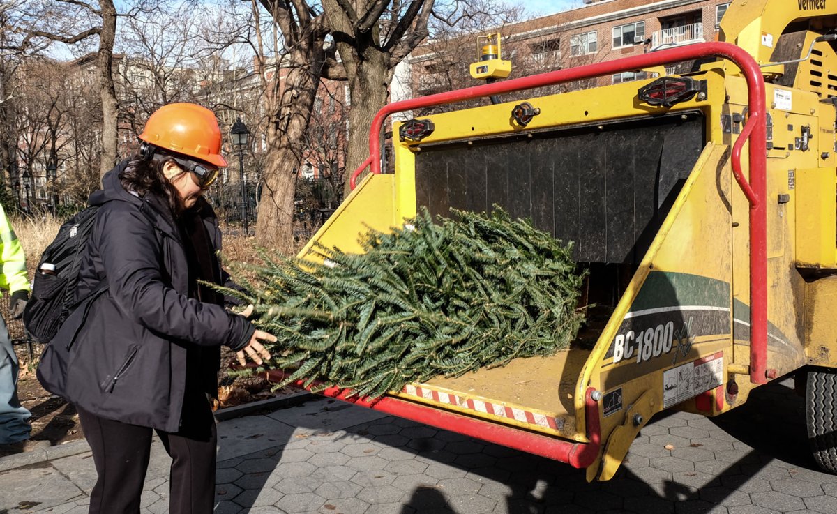 Fir sure: Another Mulchfest is revving up 1