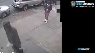 Police seek suspects in fatal shooting of Brooklyn teen