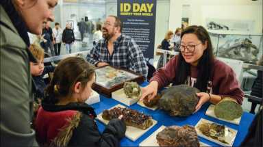 Experts from the American Museum of Natural History are hosting the annual Identification Day on Saturday, March 23.  